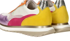 Gabor Sneakers Multi Dames