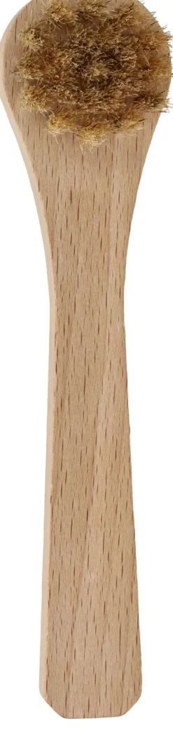 Inpoetsborstel Borstel Kleurloos