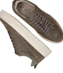 LOFF 1881 Sneakers Taupe Heren