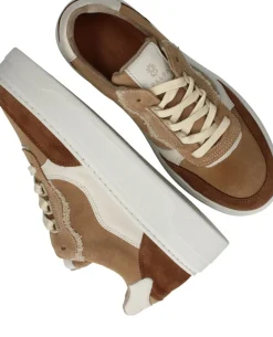 Palpa Rod Sneakers Beige Dames