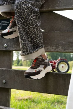 POSH by Poelman Sneakers Bruin Meisjes