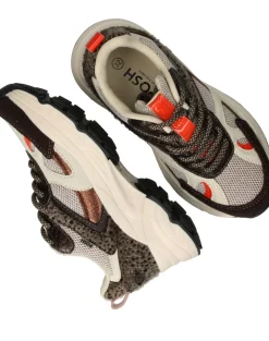 POSH by Poelman Sneakers Bruin Meisjes