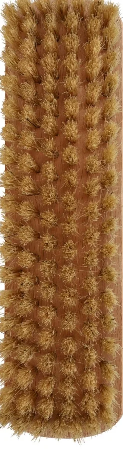 Reinigingsborstel Borstel