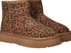 Shoecolate Boots Cognac Dames