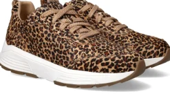 Xsensible Chain Stretchwalker Sneakers Multi Dames