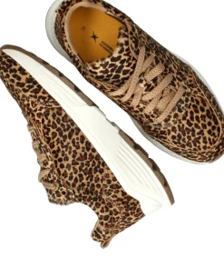 Xsensible Chain Stretchwalker Sneakers Multi Dames