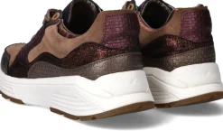 Xsensible Golden Gate Stretchwalker Sneakers Bruin Dames