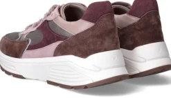 Xsensible Ponte Vecchio Stretchwalker Sneakers Multi Dames