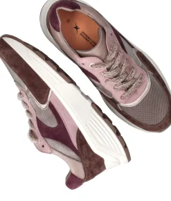 Xsensible Ponte Vecchio Stretchwalker Sneakers Multi Dames